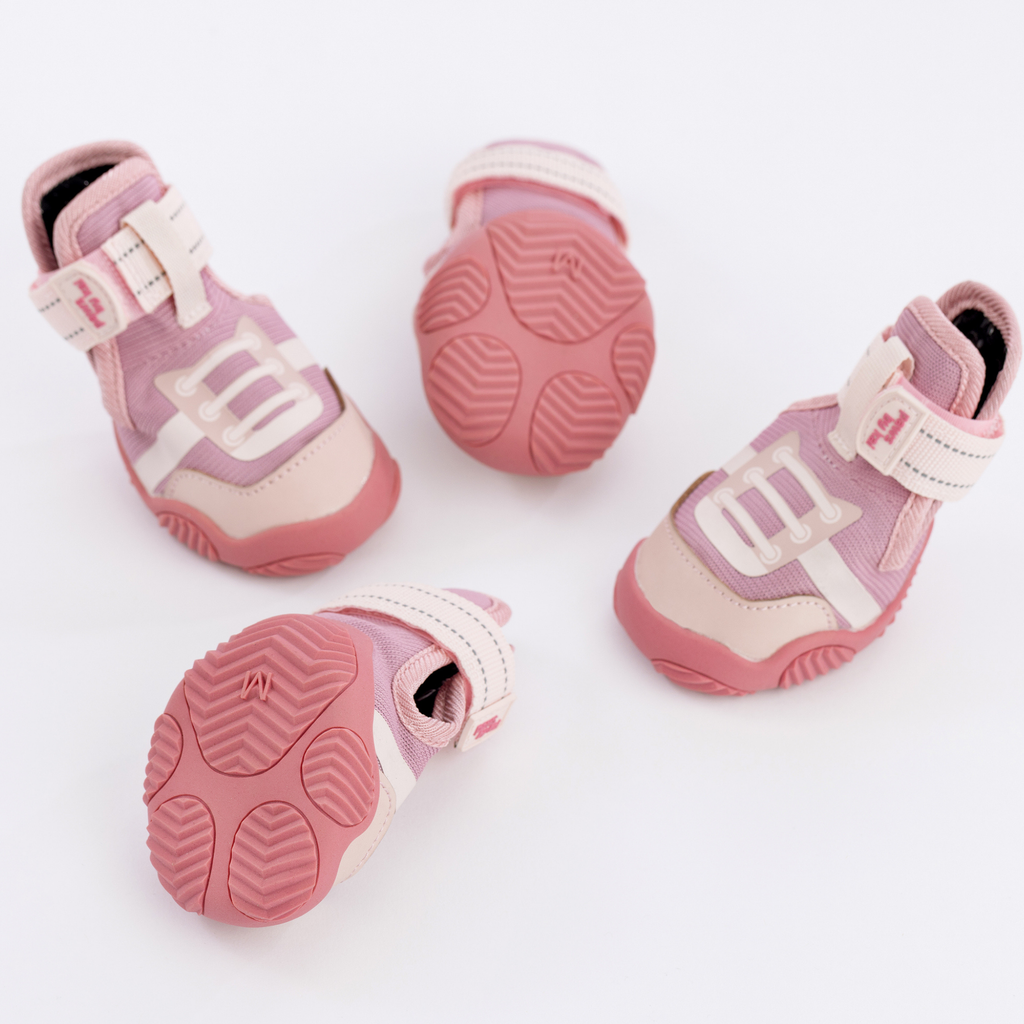 The Kai- Dog Sneaker by Paws By Kai