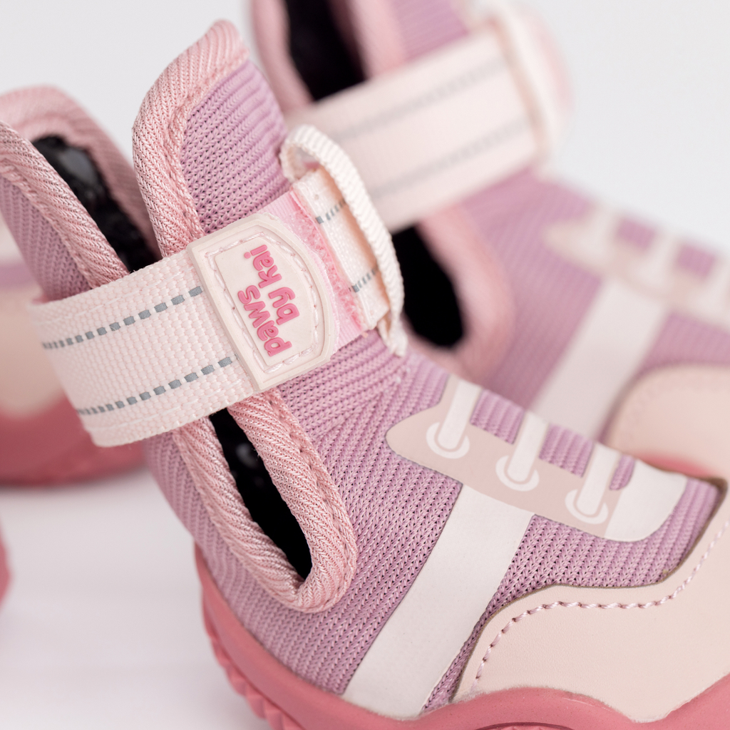 The Kai- Dog Sneaker by Paws By Kai