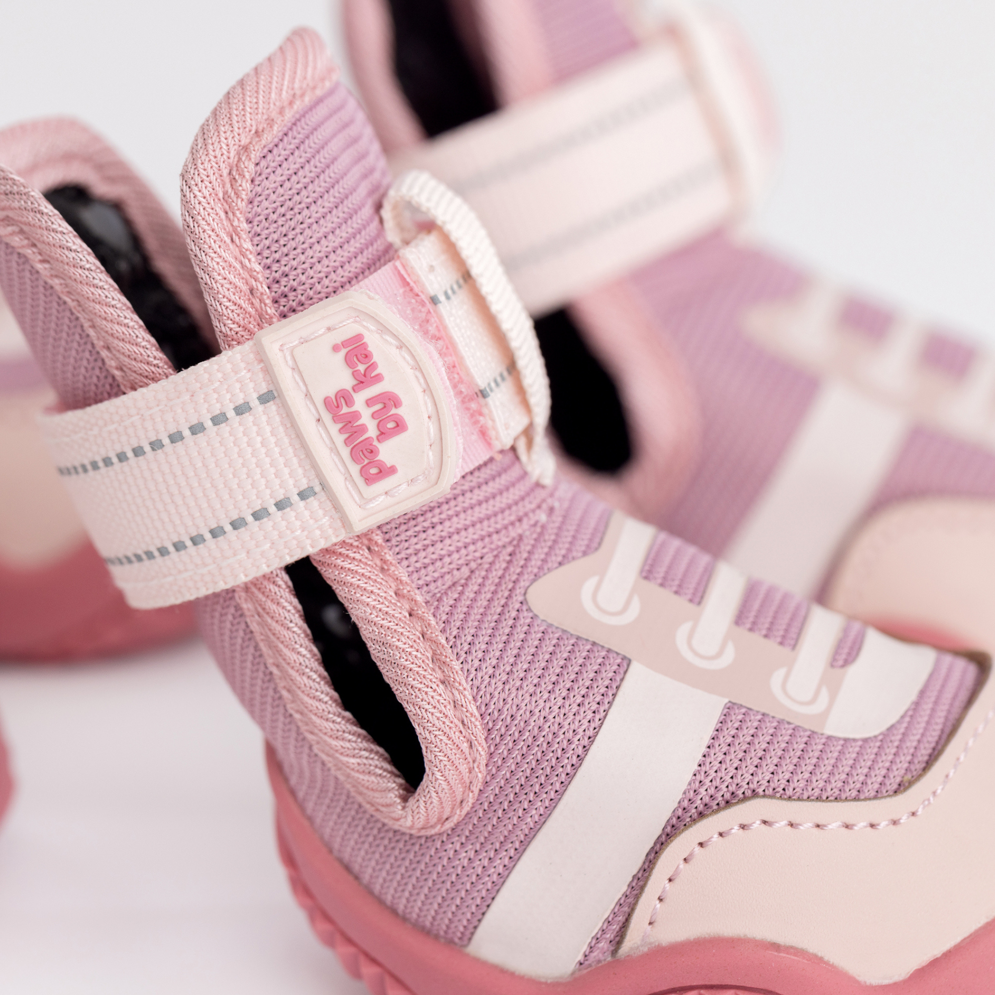 The Kai- Dog Sneaker by Paws By Kai