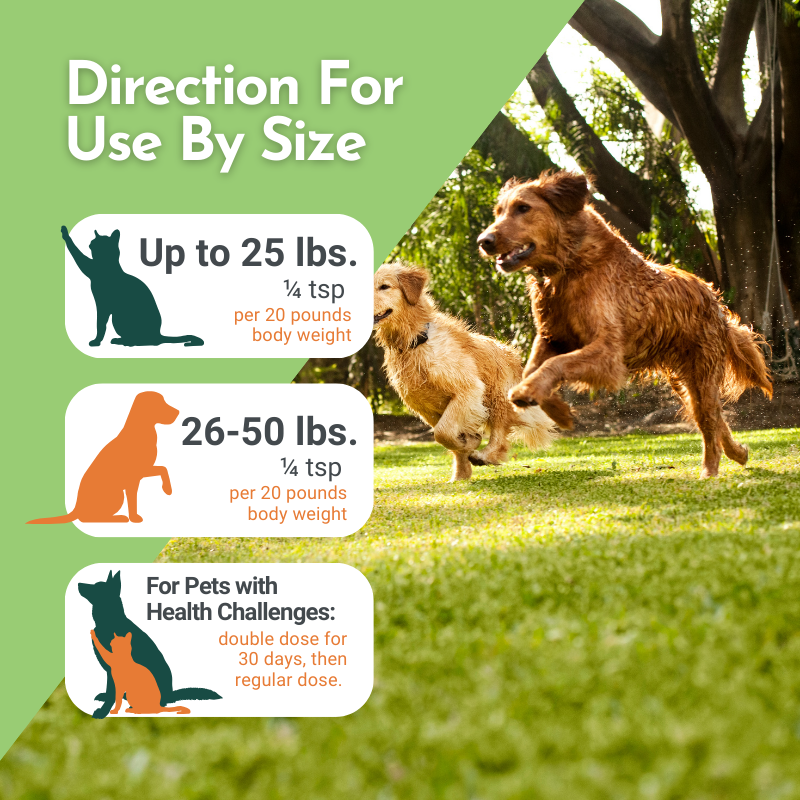 Holistic Total Body Support — Daily Multivitamin & Pasture-Raised Glandular Blend for Dogs & Cats by Dr. Ruth Roberts