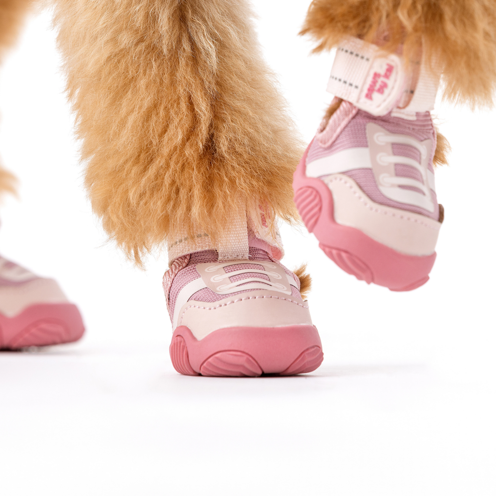 The Kai- Dog Sneaker by Paws By Kai