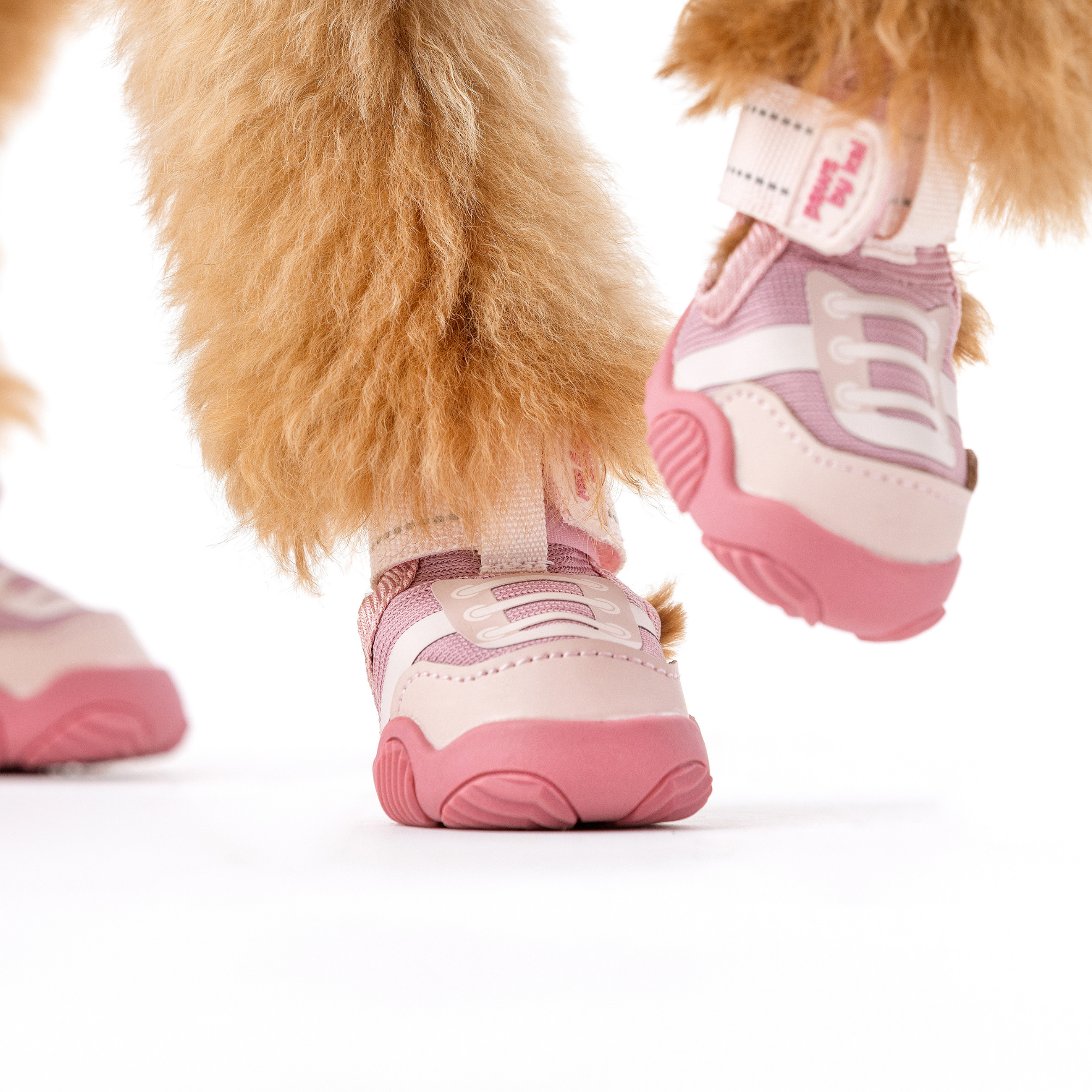 The Kai- Dog Sneaker by Paws By Kai
