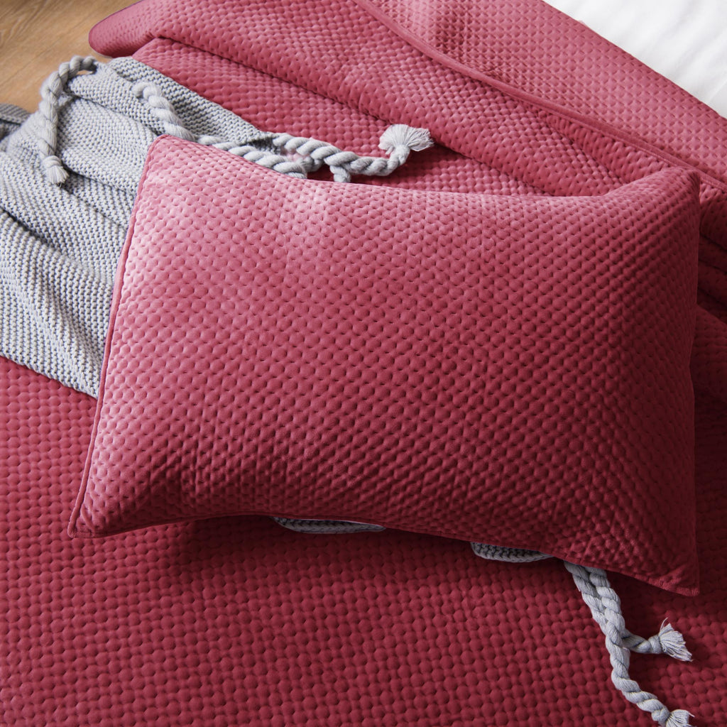 Kasentex All Season Cozy Velvet Quilt Set with Shams, Queen, King, Room Decor, Graduation Gifts by Kasentex