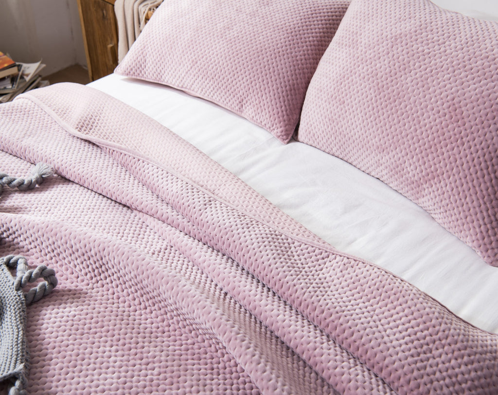 Kasentex All Season Cozy Velvet Quilt Set with Shams, Queen, King, Room Decor, Graduation Gifts by Kasentex