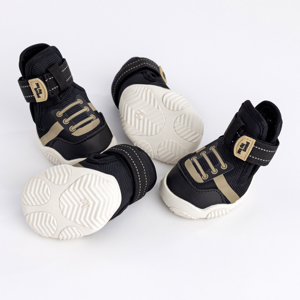 The Kai- Dog Sneaker by Paws By Kai