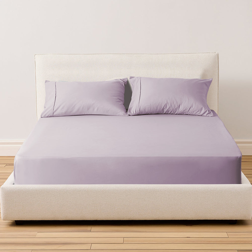Kasentex Spring All Season Deep Pocket Fitted Sheet Set with Pillowcases, Room Decor, Graduation Gifts by Kasentex