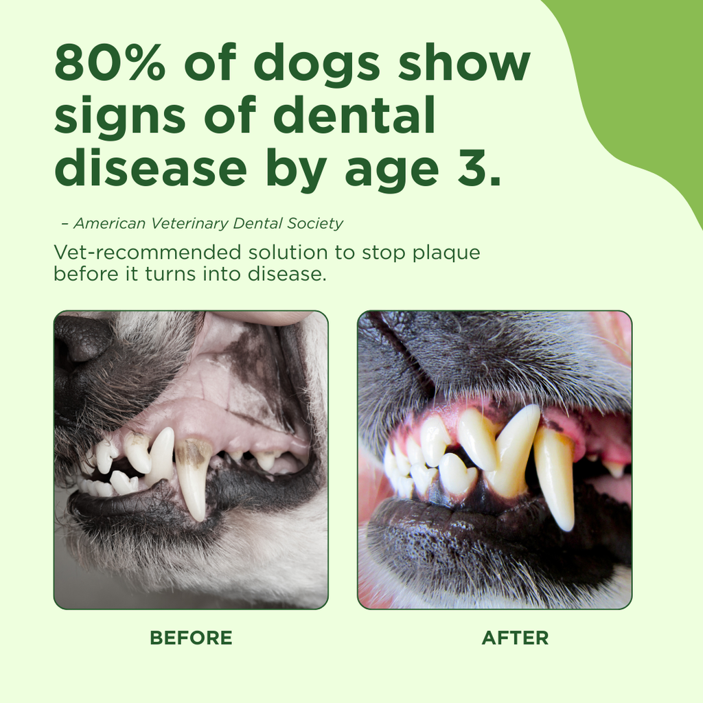 Oral Care Spray by Adore Pet