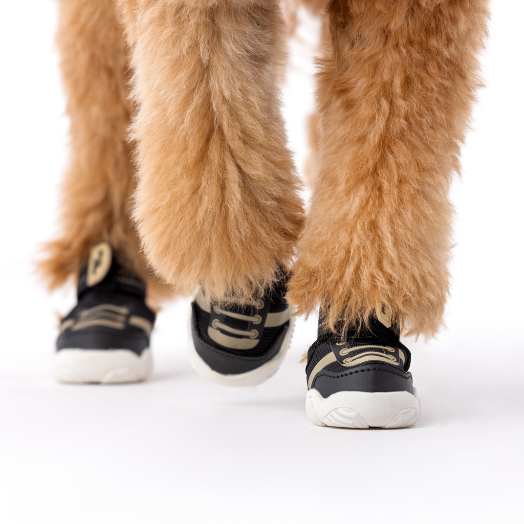 The Kai- Dog Sneaker by Paws By Kai