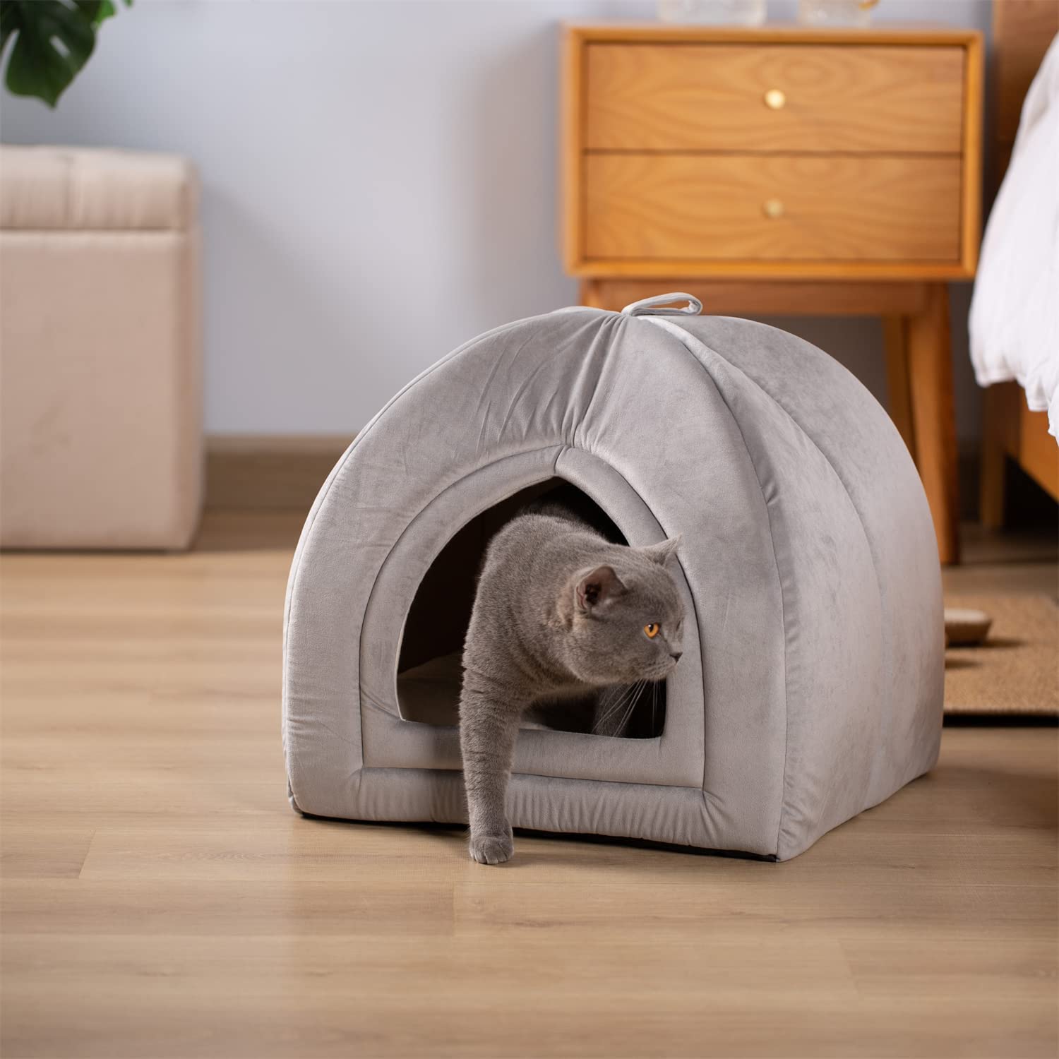 Kasentex Cat Bed, Lovely Tent with Removable Washable Pillow Cushion by Kasentex