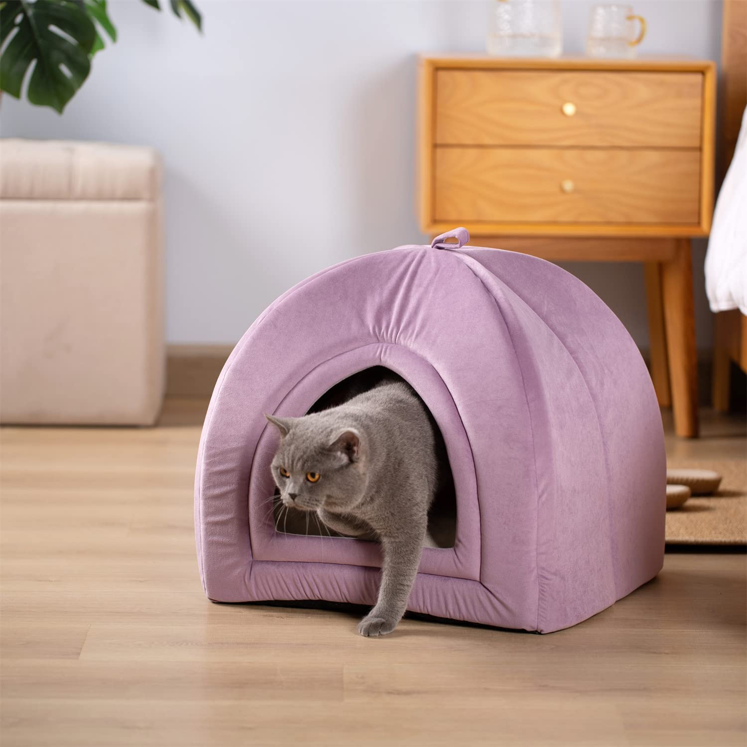 Kasentex Cat Bed, Lovely Tent with Removable Washable Pillow Cushion by Kasentex