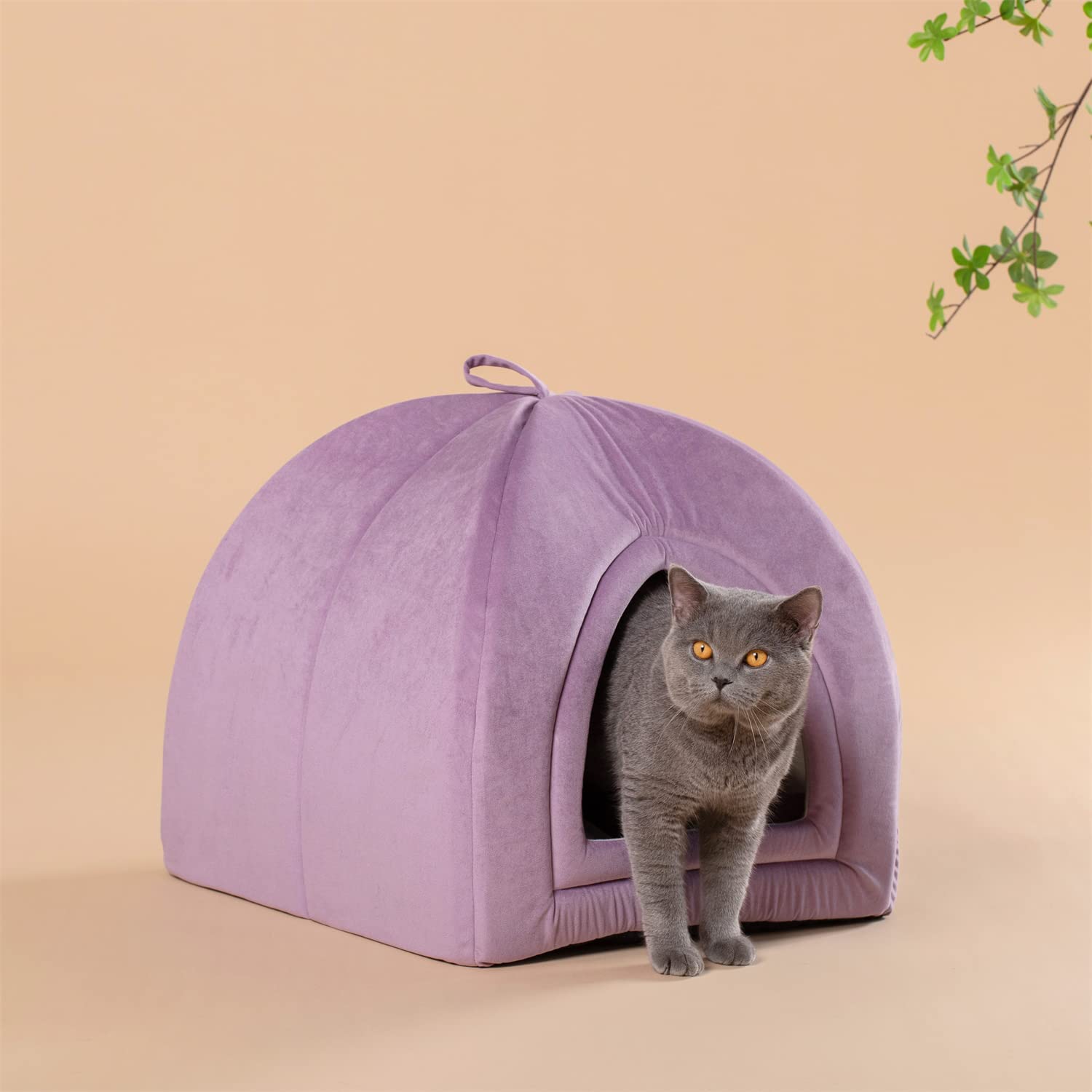 Kasentex Cat Bed, Lovely Tent with Removable Washable Pillow Cushion by Kasentex