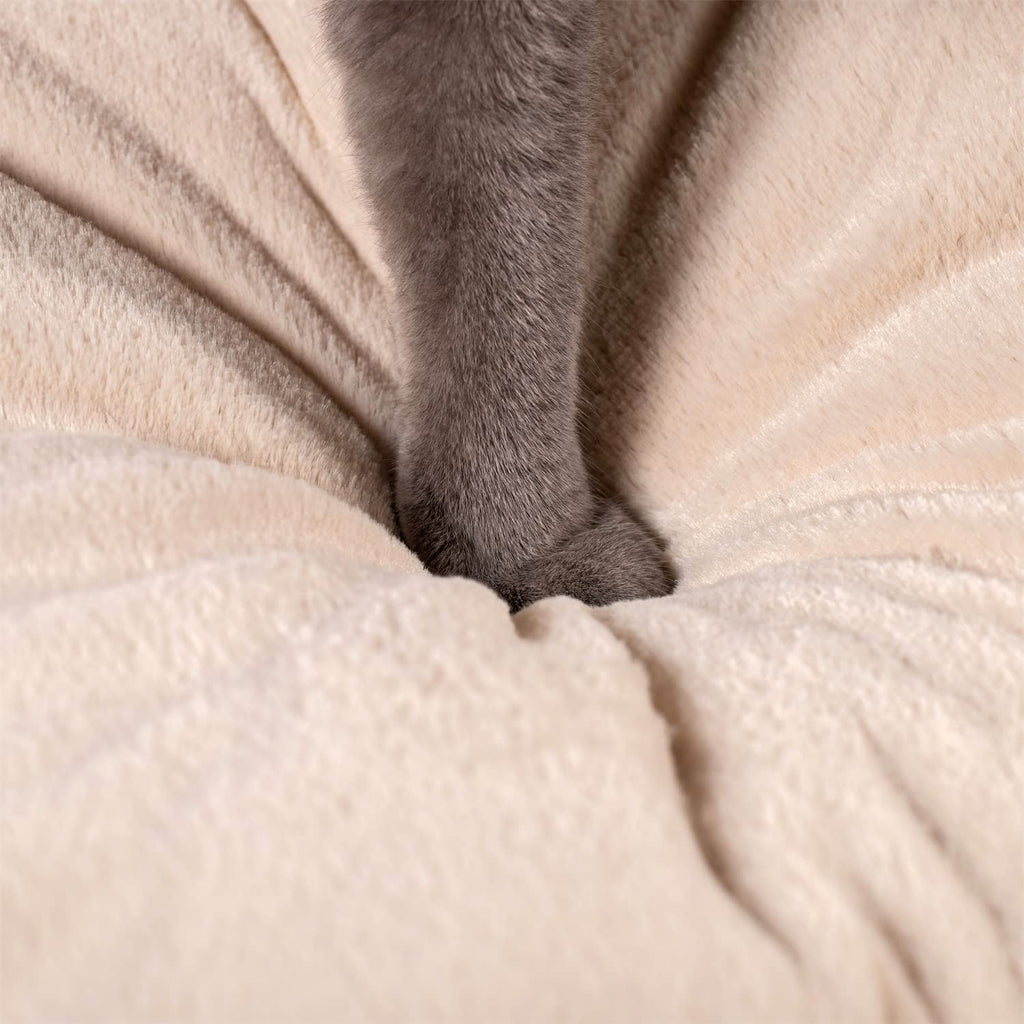 Kasentex Cat Bed, Lovely Tent with Removable Washable Pillow Cushion by Kasentex