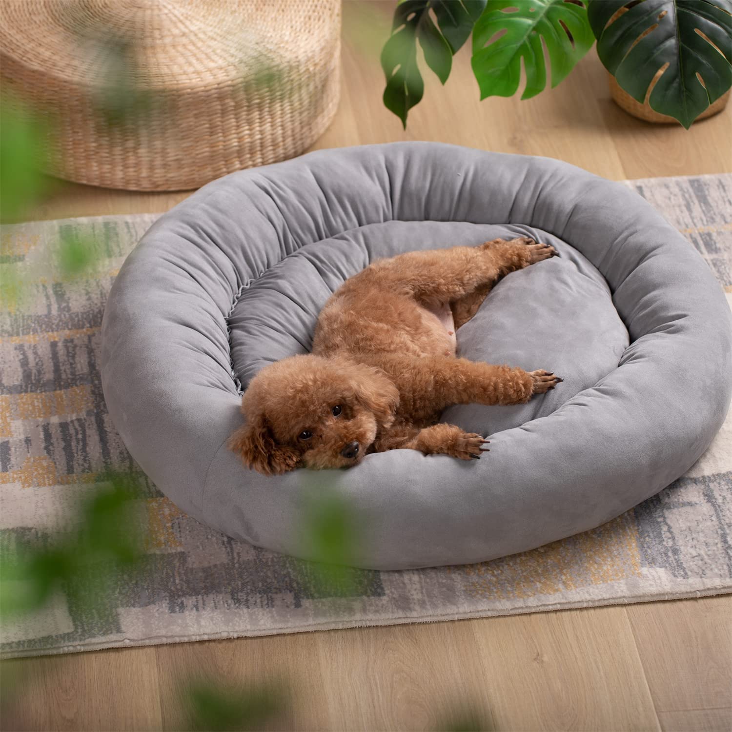 Kasentex Donut Design Round Dog Bed, Anti Slip and Machine Washable by Kasentex