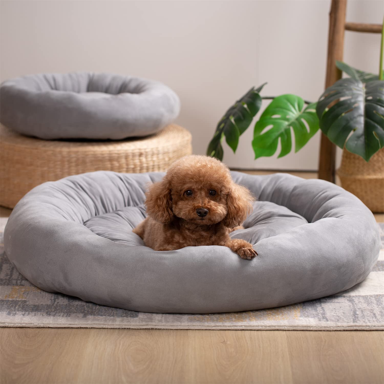 Kasentex Donut Design Round Dog Bed, Anti Slip and Machine Washable by Kasentex