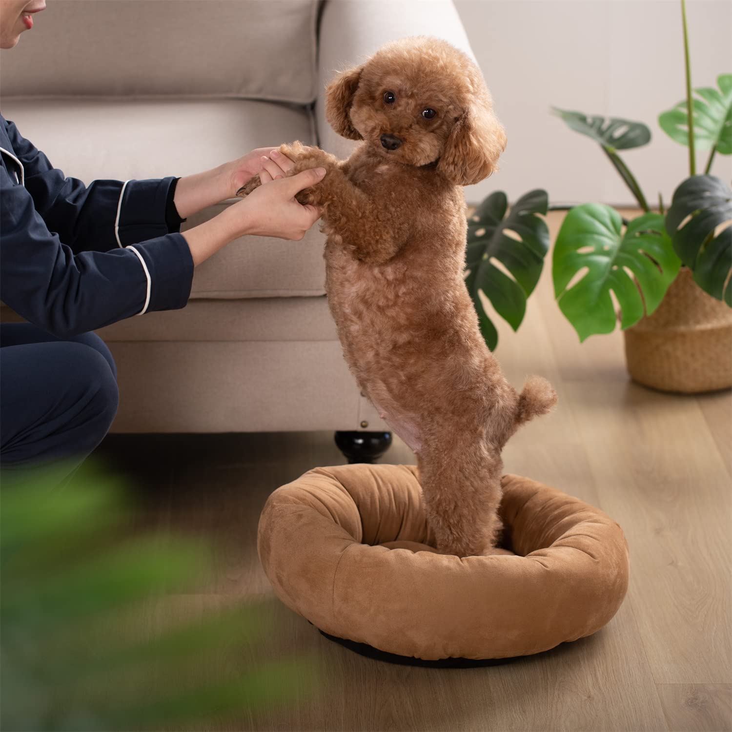 Kasentex Donut Design Round Dog Bed, Anti Slip and Machine Washable by Kasentex
