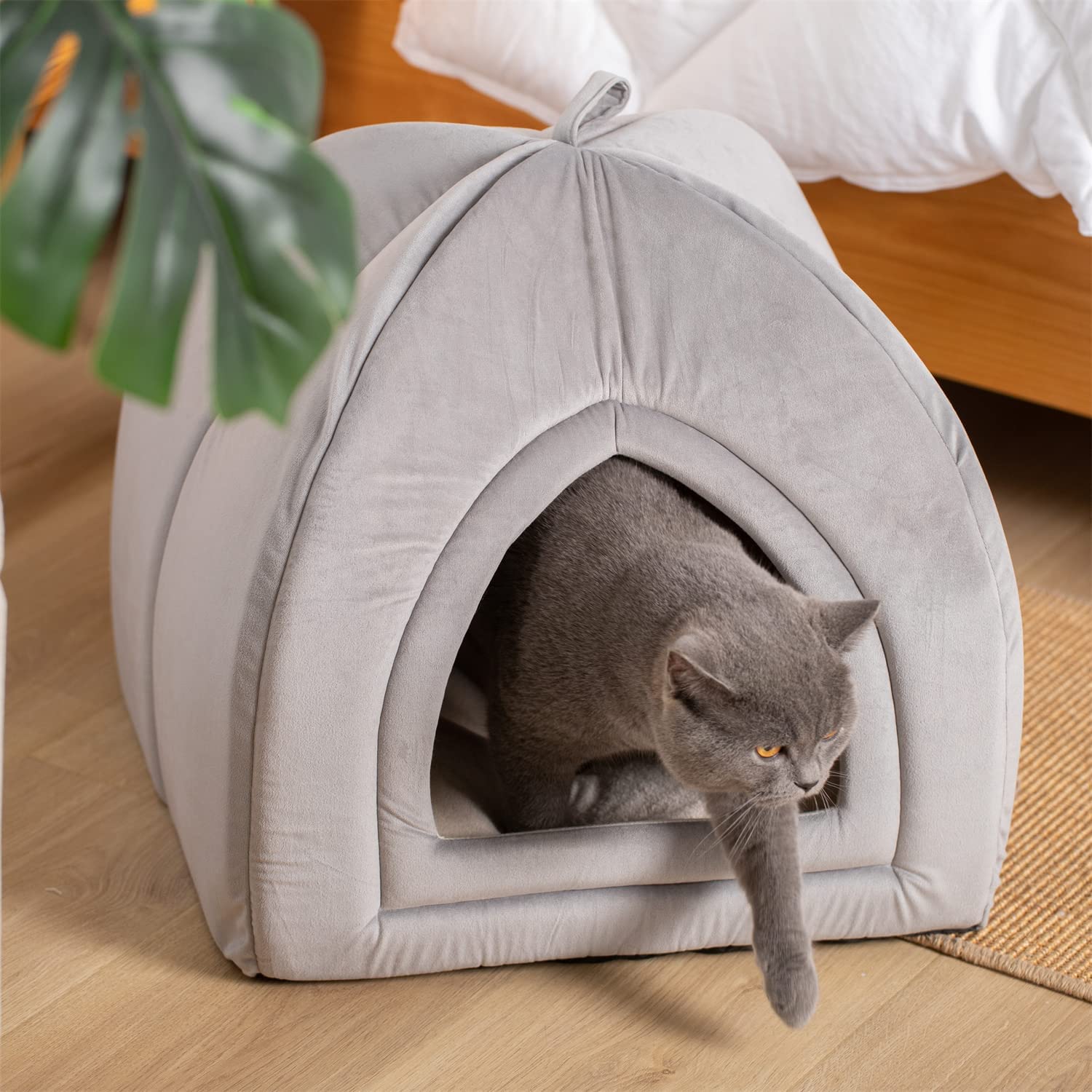 Kasentex Cat Bed, Lovely Tent with Removable Washable Pillow Cushion by Kasentex