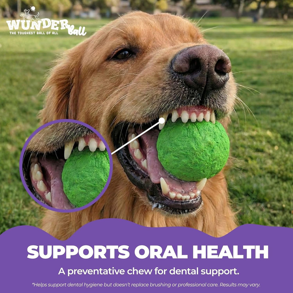 WUNDERball - Best Fetch Toy by WACKYstore