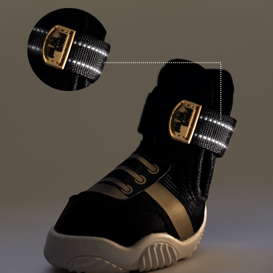 The Kai- Dog Sneaker by Paws By Kai