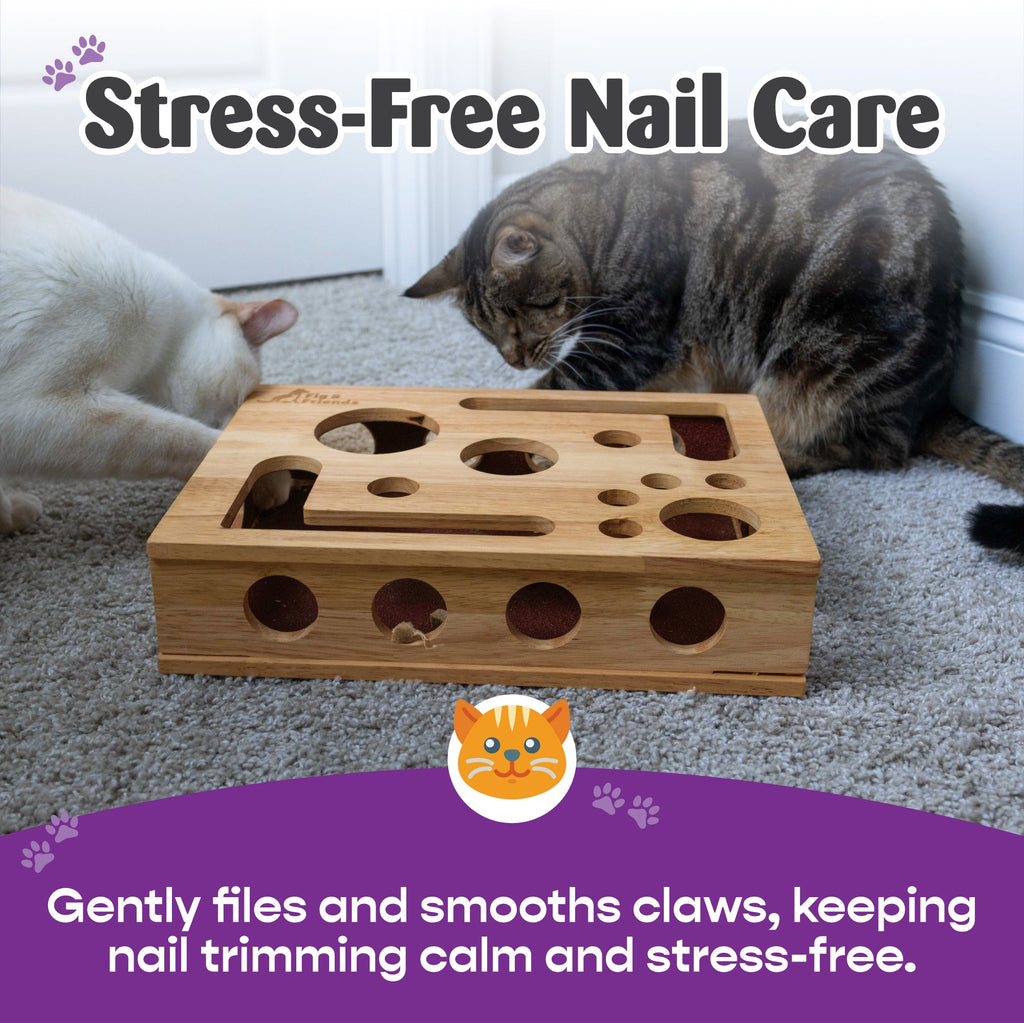 *The Original* Cat Nail File Enrichment Box by Fig & Friends