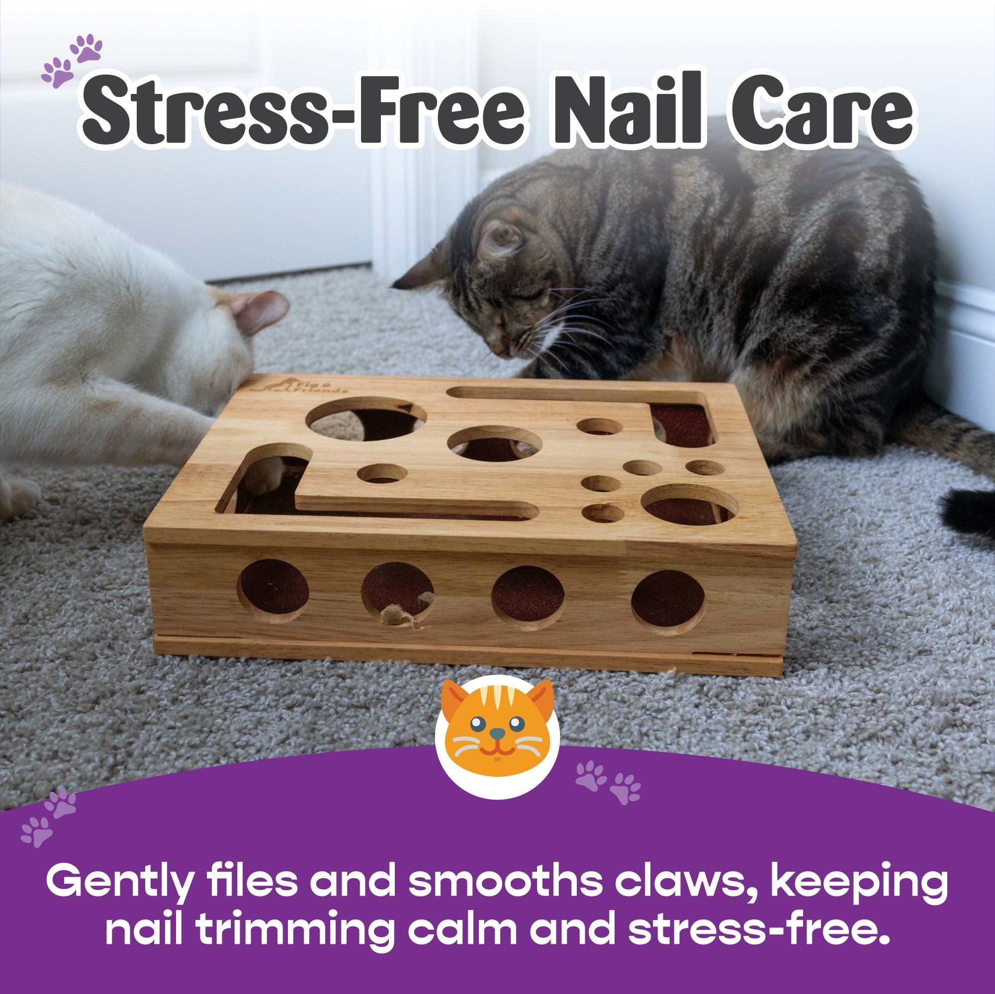 *The Original* Cat Nail File Enrichment Box by Fig & Friends