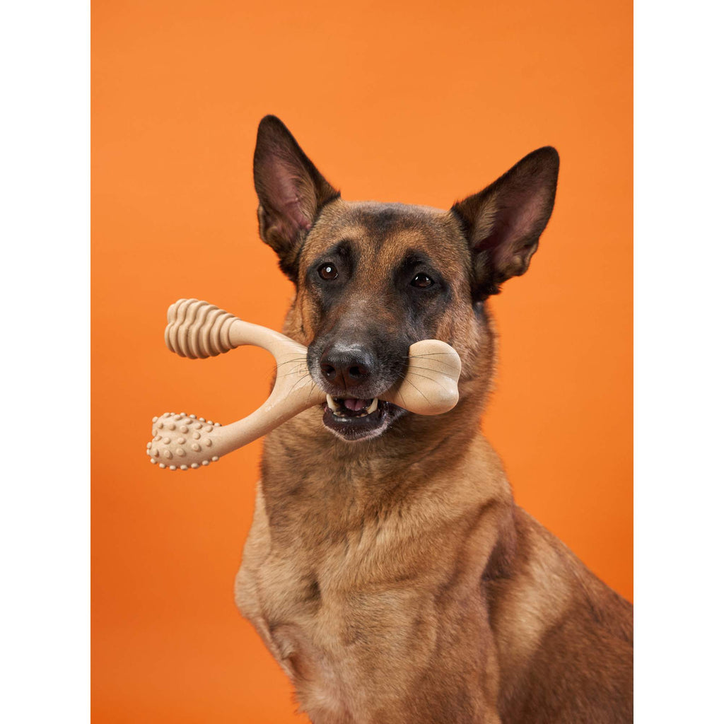 BetterBone HARD Chew Toy by BetterBone All Natural Eco-Friendly Dog Chews & Bones