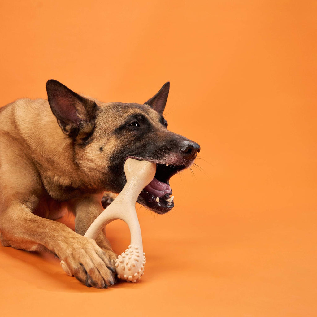 BetterBone HARD Chew Toy by BetterBone All Natural Eco-Friendly Dog Chews & Bones