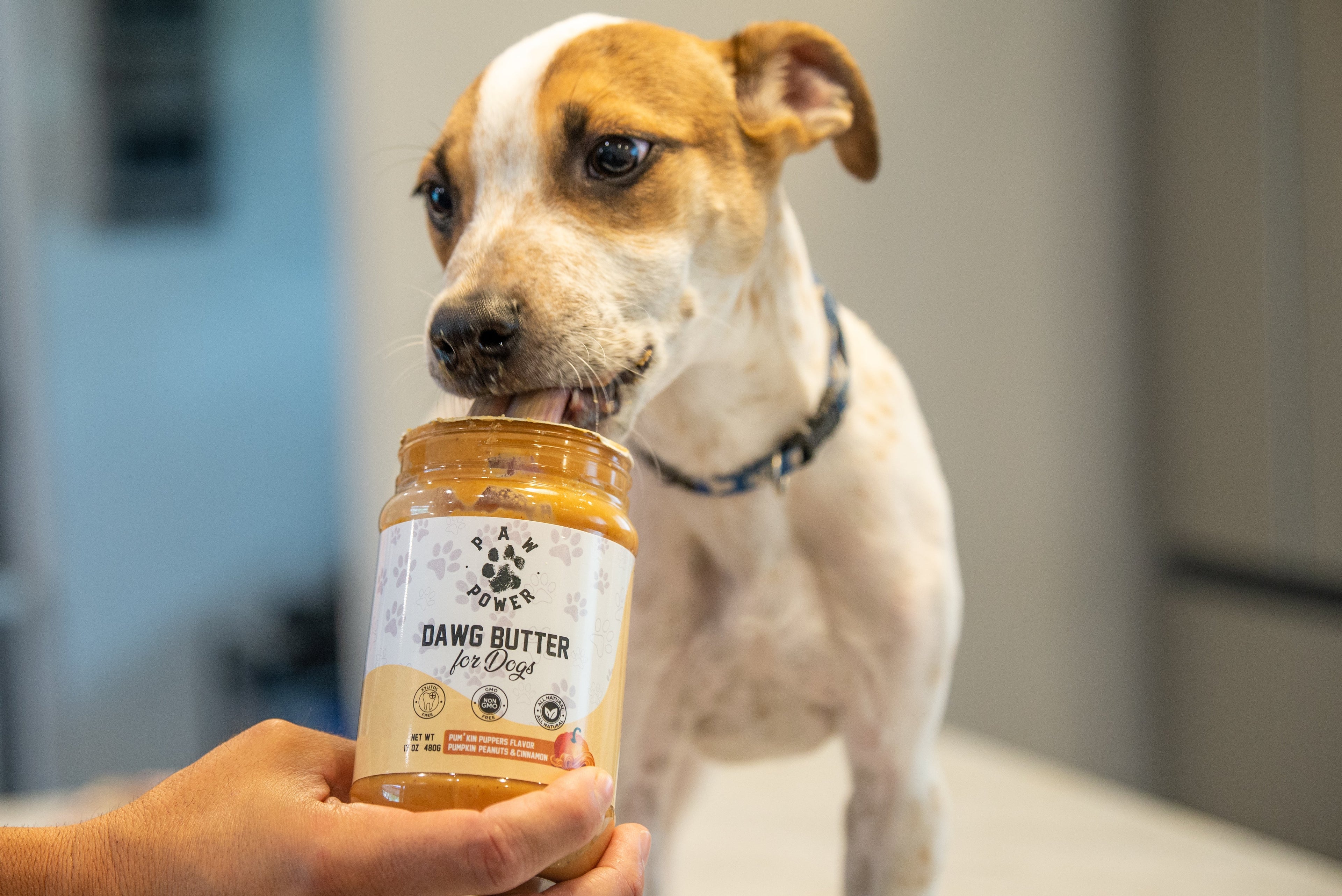 Dawg Butter Pum'kin Puppers Flavor by Paw Power Nutrition