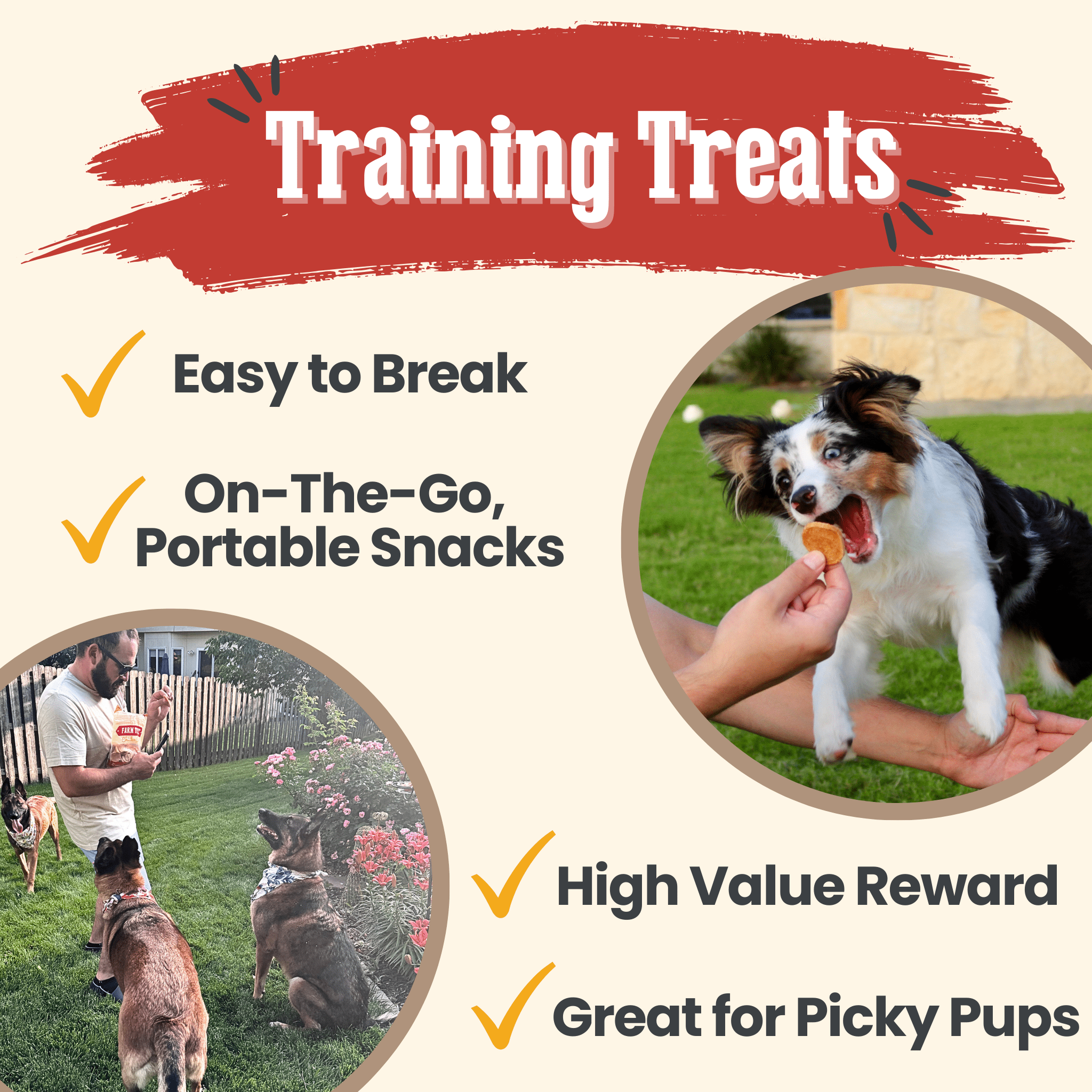 Chicken Chips for Dogs | All-Natural Single-Ingredient Dog Treats by Farm To Pet