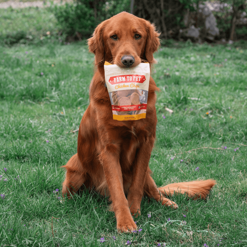 Chicken Chips for Dogs | All-Natural Single-Ingredient Dog Treats by Farm To Pet