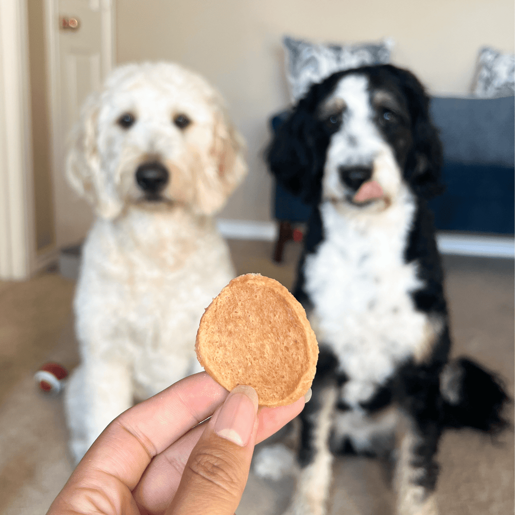 Chicken Chips for Dogs | All-Natural Single-Ingredient Dog Treats by Farm To Pet