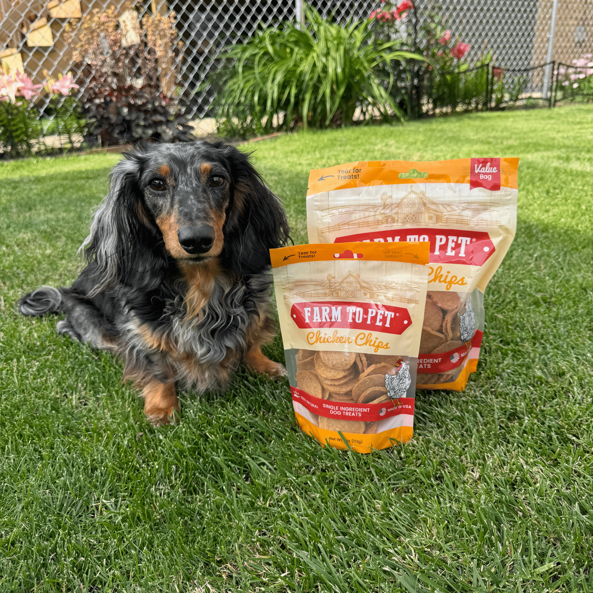 Chicken Chips for Dogs | All-Natural Single-Ingredient Dog Treats by Farm To Pet