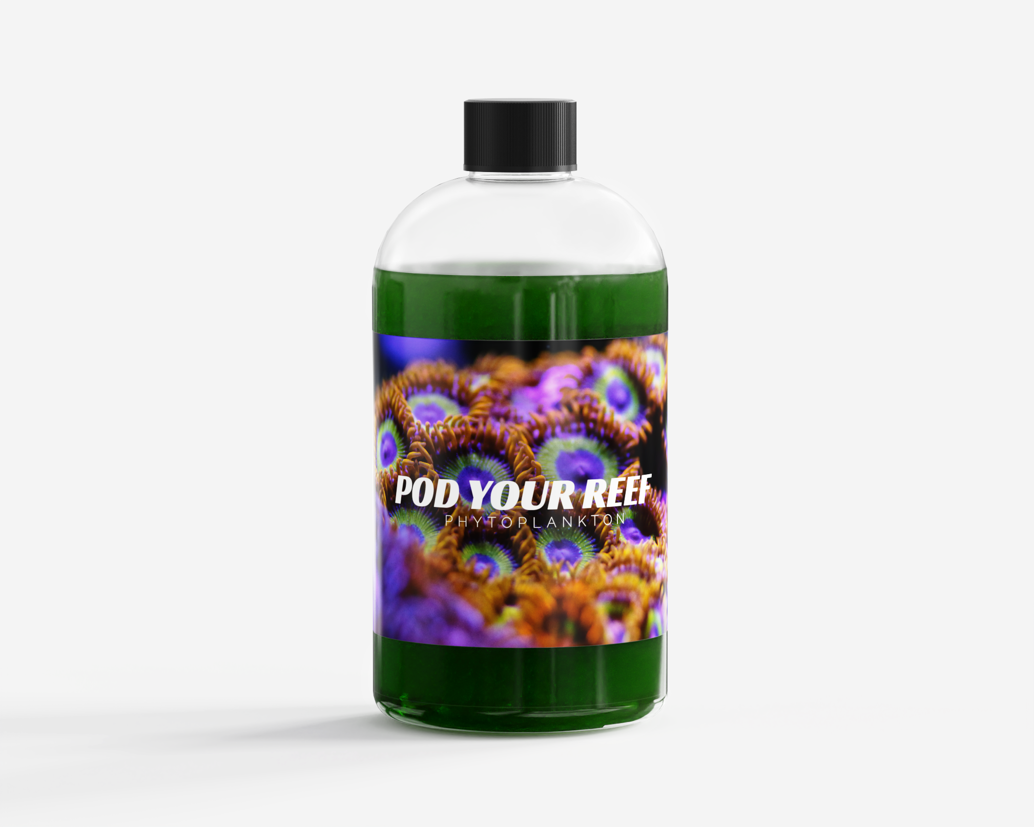 Nannochloropsis Phytoplankton Culture by Pod Your Reef