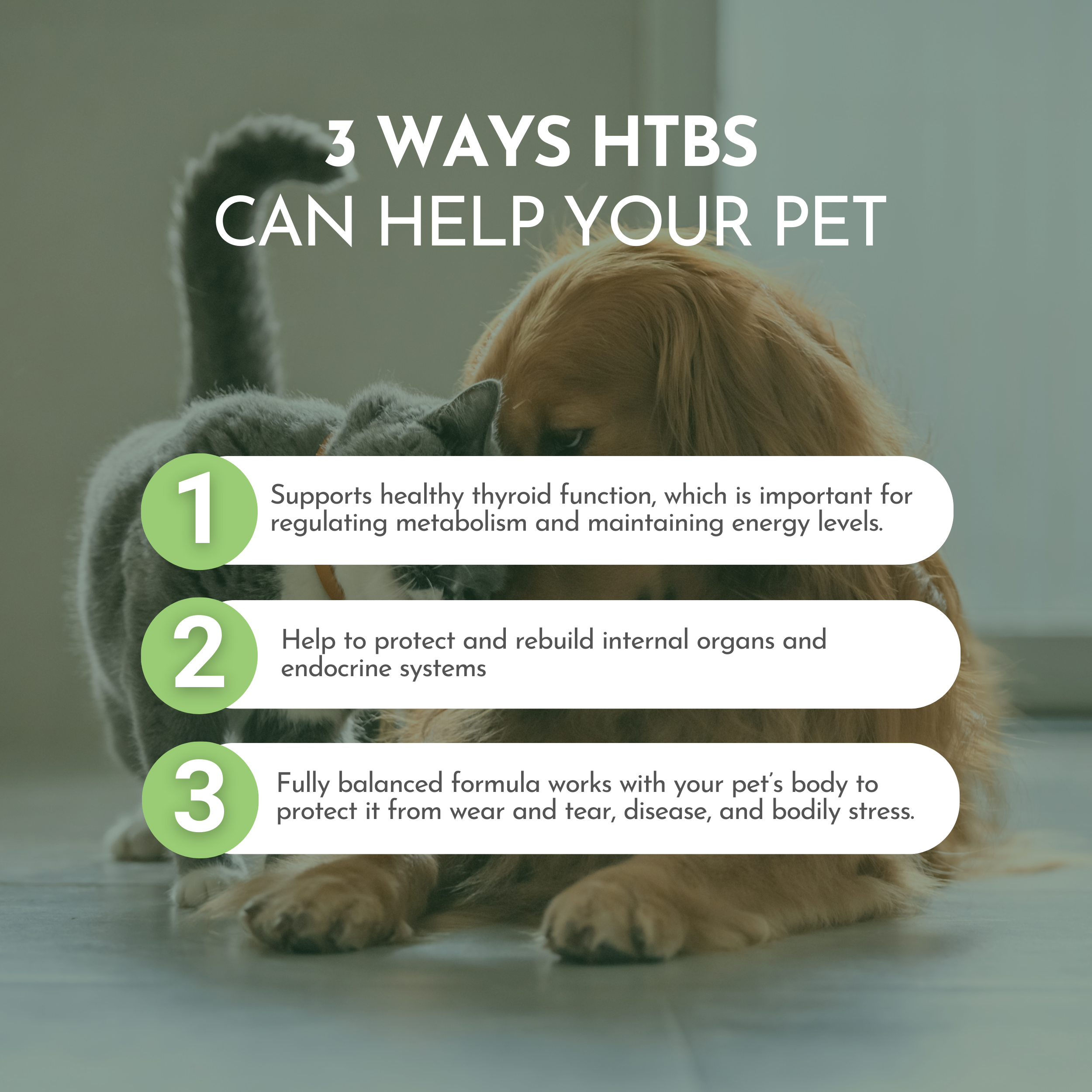 Holistic Total Body Support — Daily Multivitamin & Pasture-Raised Glandular Blend for Dogs & Cats by Dr. Ruth Roberts