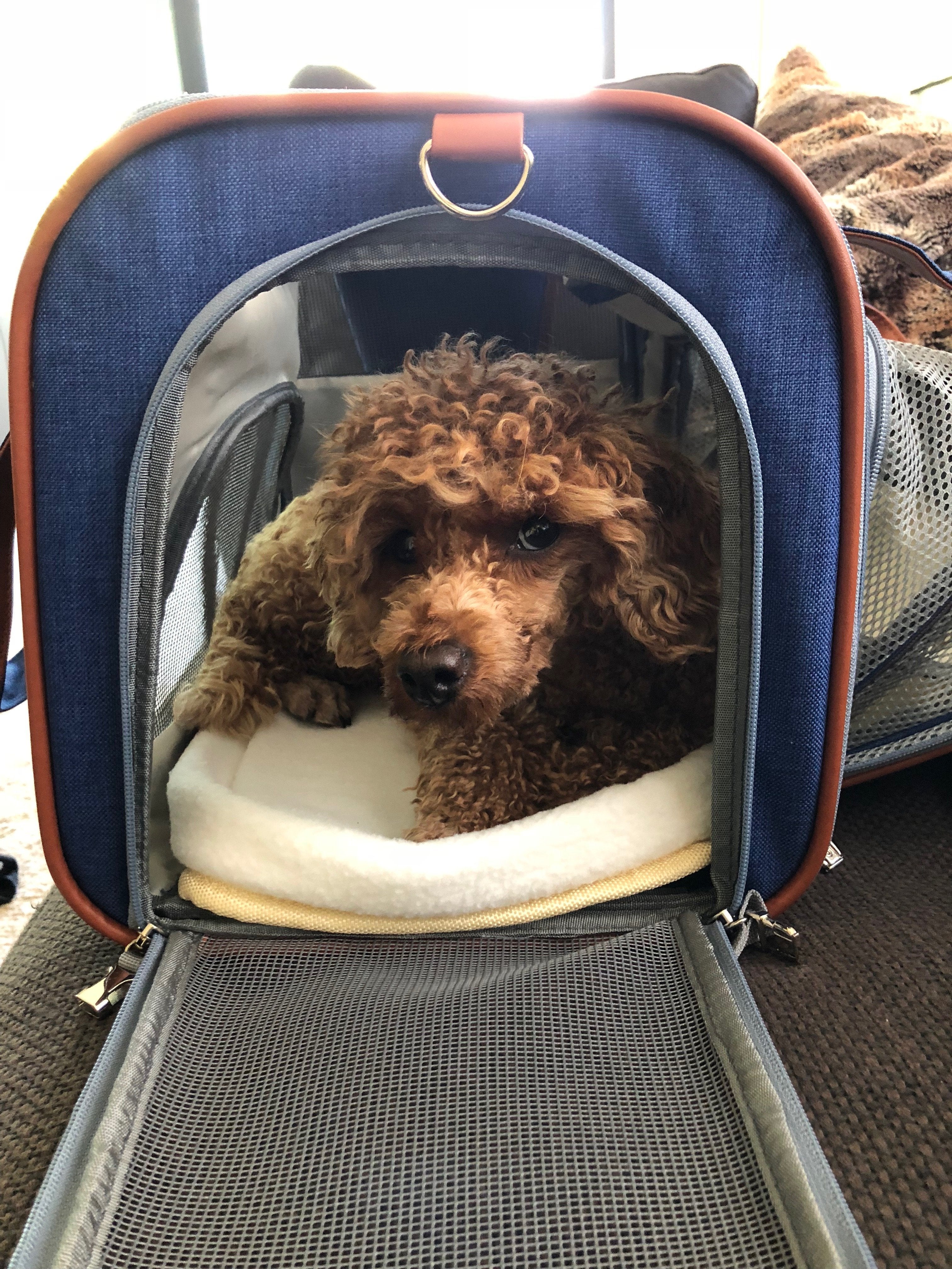 Mr. Peanut's Gold Series Big Apple XL Expandable Pet Carrier V2.0 by Mr. Peanut's Pet Carriers