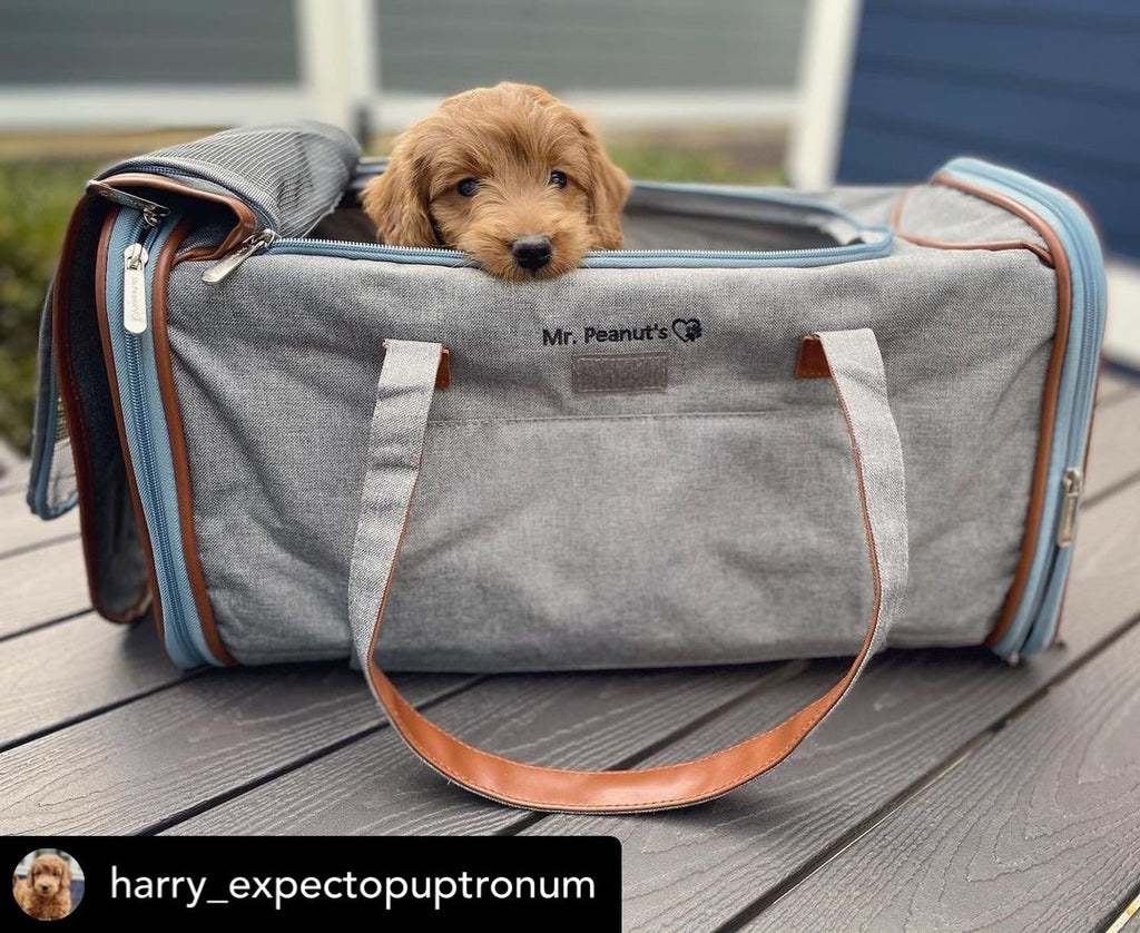 Mr. Peanut's Gold Series Big Apple XL Expandable Pet Carrier V2.0 by Mr. Peanut's Pet Carriers