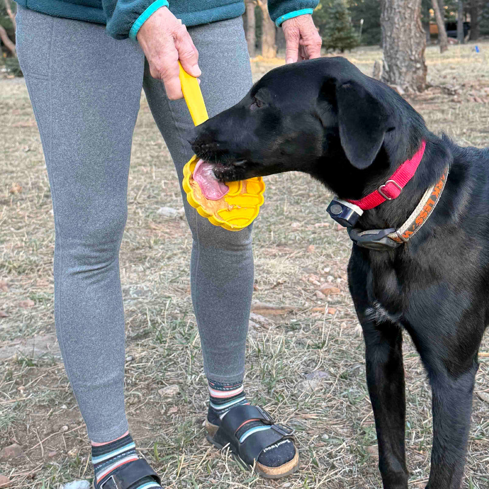 eStick Hand-Held Dog Enrichment Toy - Interactive Lick Stick | USA Made by SodaPup/True Dogs, LLC