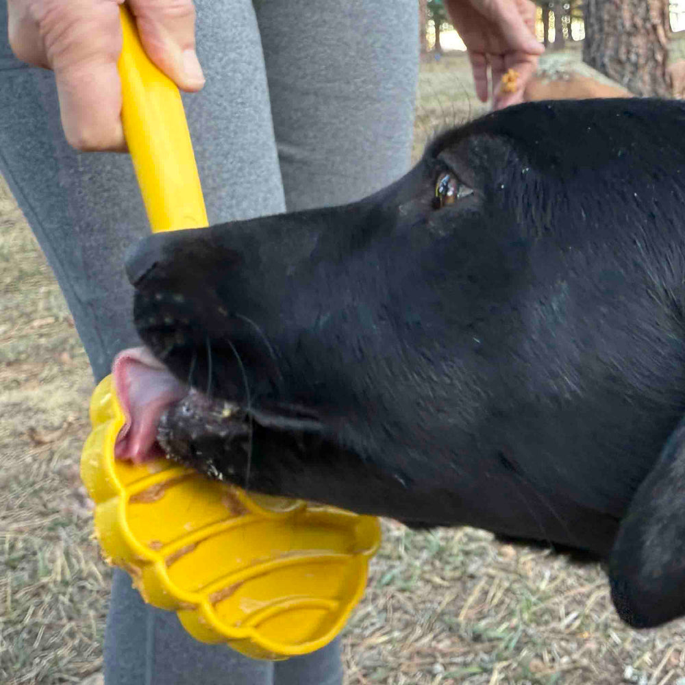 eStick Hand-Held Dog Enrichment Toy - Interactive Lick Stick | USA Made by SodaPup/True Dogs, LLC