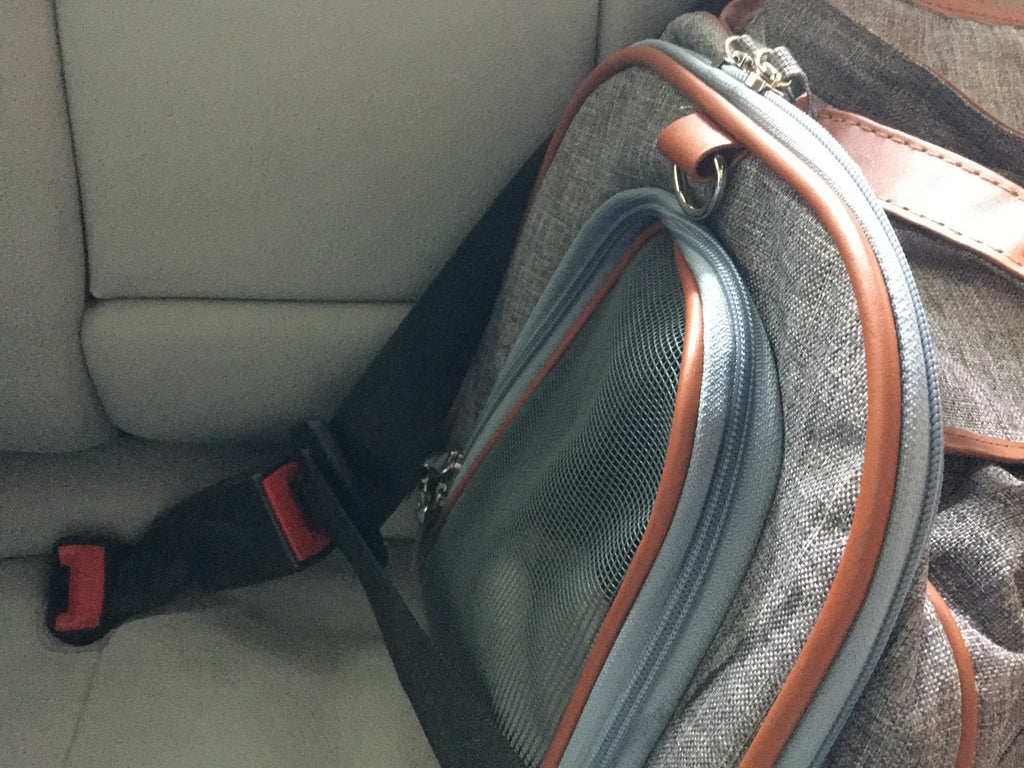 Mr. Peanut's Gold Series Big Apple XL Expandable Pet Carrier V2.0 by Mr. Peanut's Pet Carriers