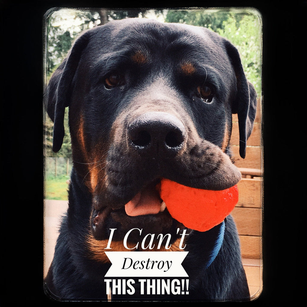 WUNDERball - Best Fetch Toy by WACKYstore