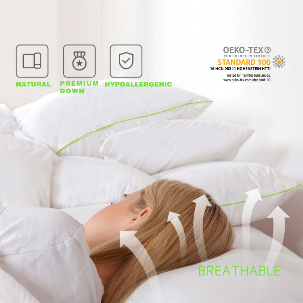 Kasentex Silky Green Piped Edge Goose Down Feather Pillow Set, White by Kasentex