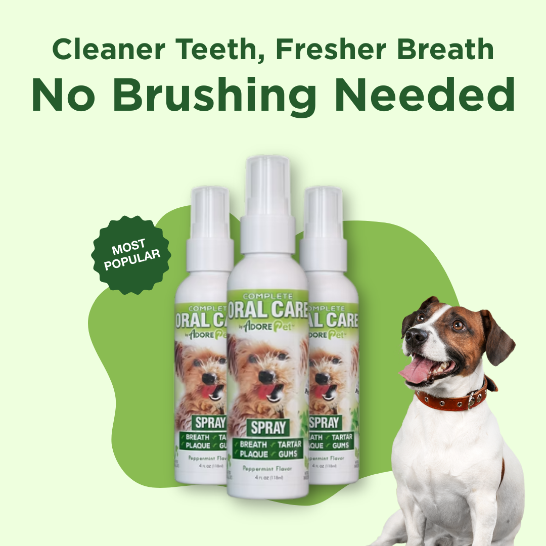 Oral Care Spray by Adore Pet
