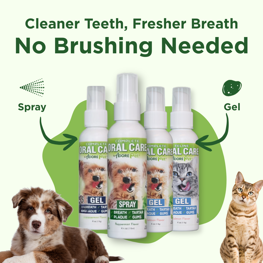 Oral Care Spray by Adore Pet