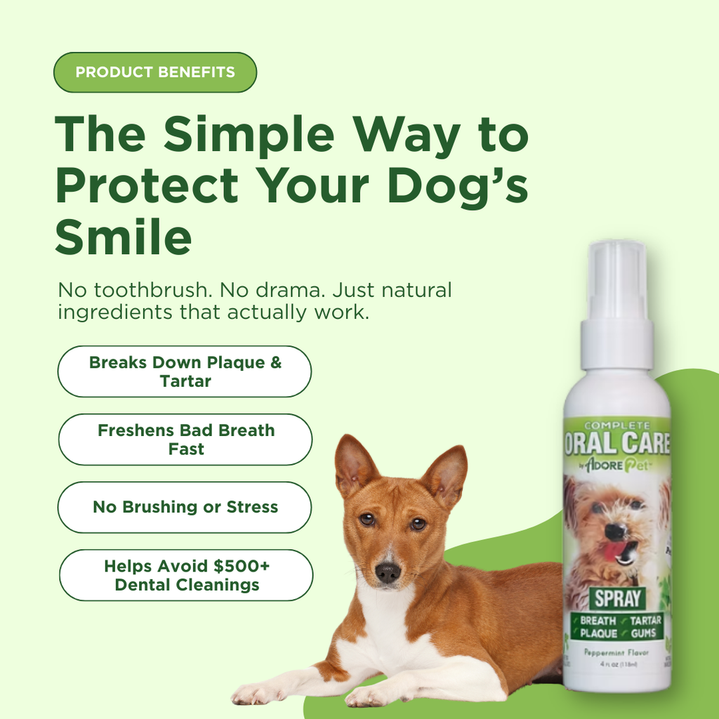 Oral Care Spray by Adore Pet