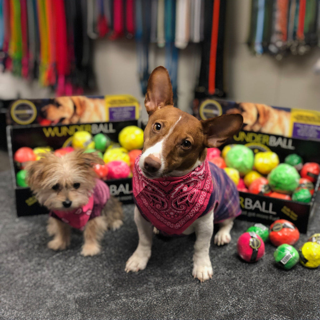WUNDERball - Best Fetch Toy by WACKYstore