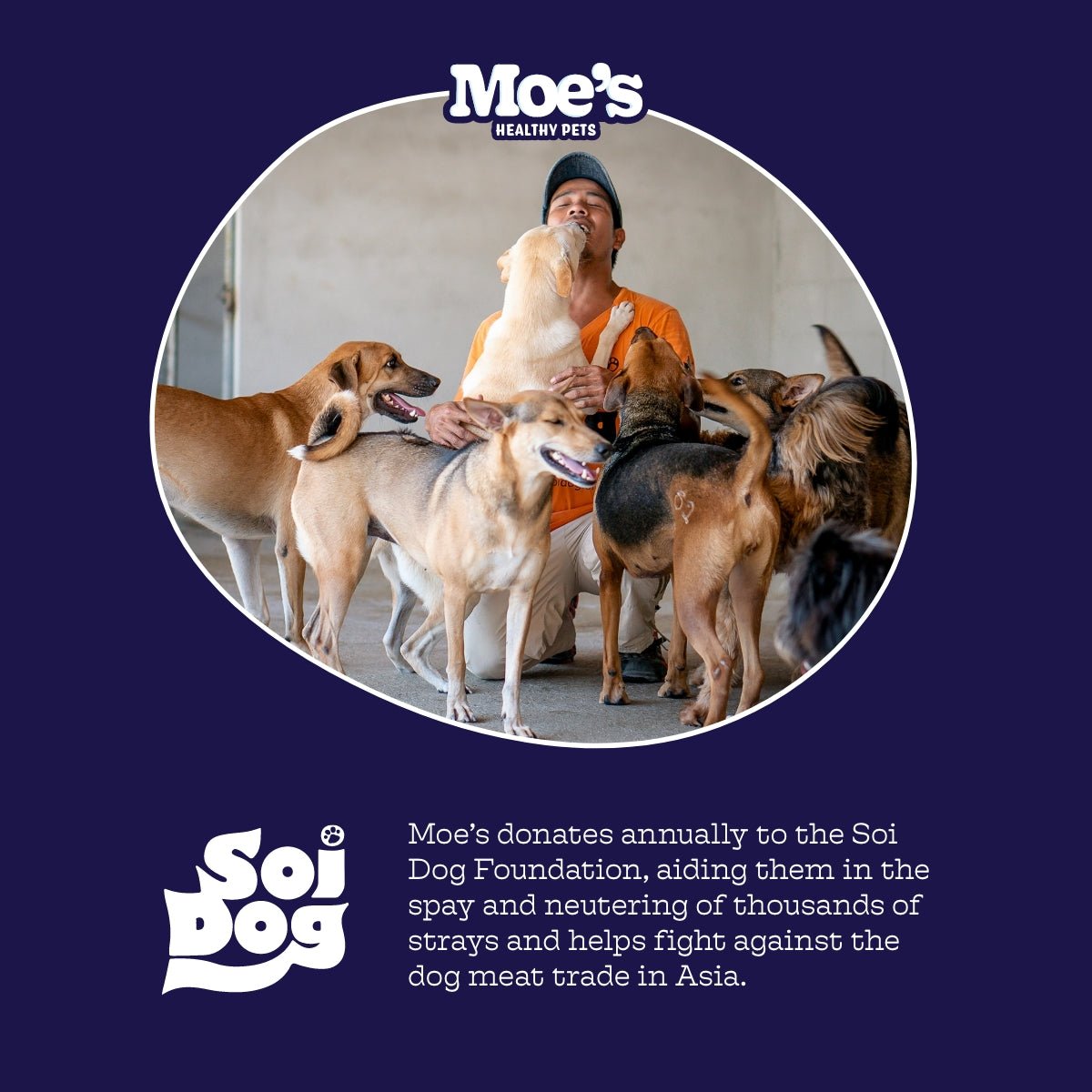 Chillout Chews by Moe's Healthy Pets