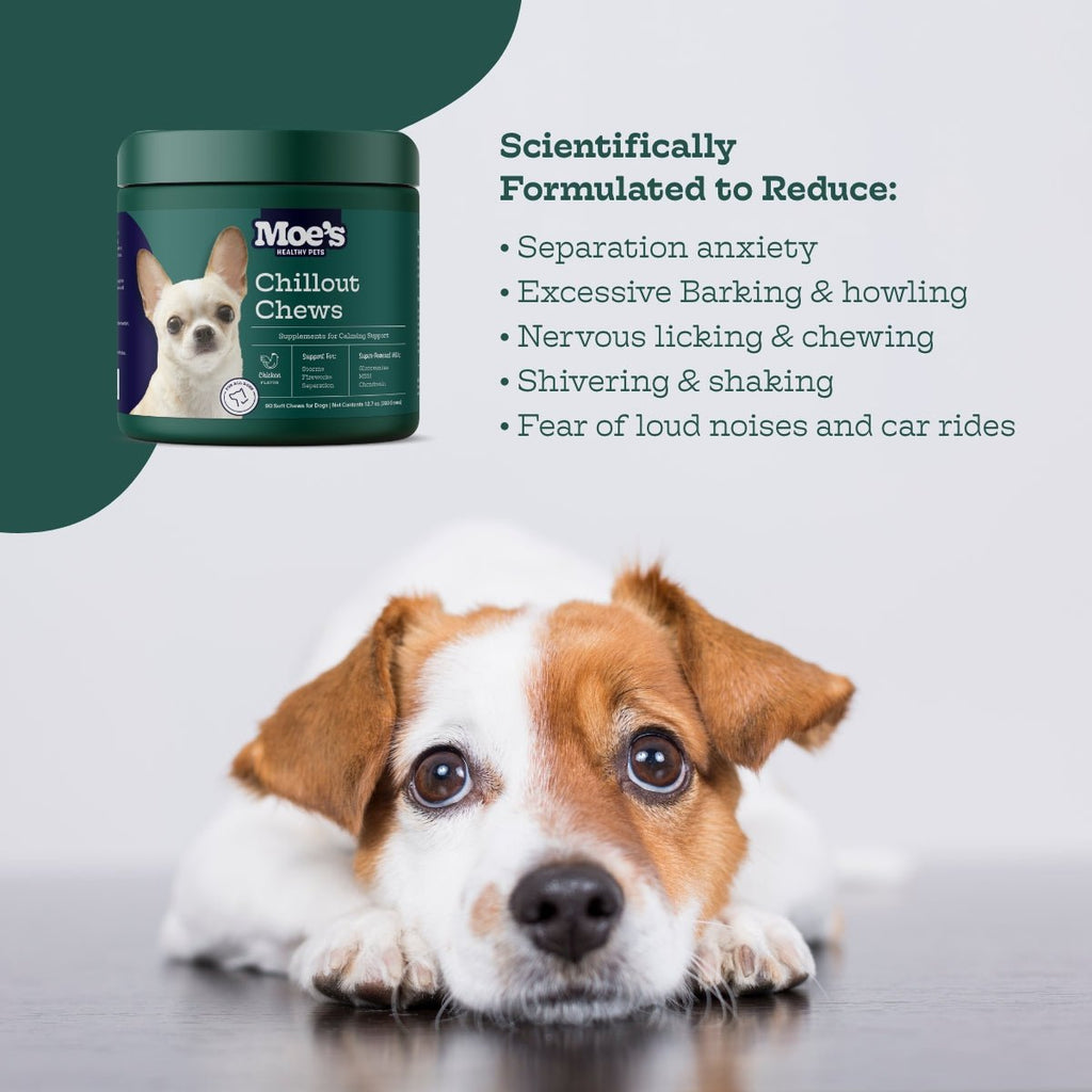 Chillout Chews by Moe's Healthy Pets