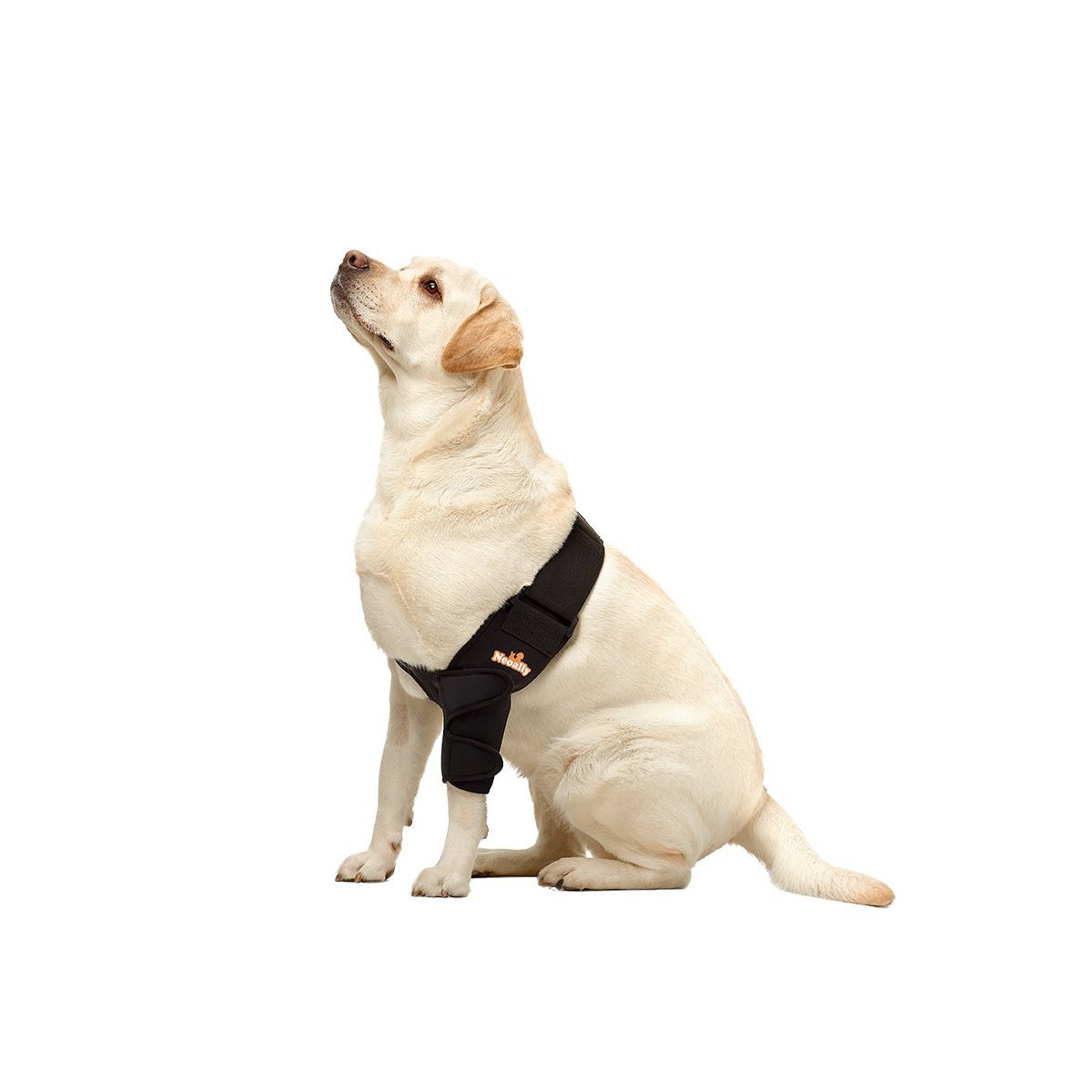 NeoAlly Elbow and Shoulder Brace for Dogs and Cats - Optimal Support for Pet Mobility by Neoallypets