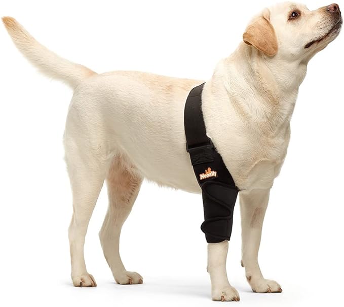 NeoAlly Elbow and Shoulder Brace for Dogs and Cats - Optimal Support for Pet Mobility by Neoallypets