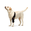 NeoAlly Elbow and Shoulder Brace for Dogs and Cats - Optimal Support for Pet Mobility by Neoallypets