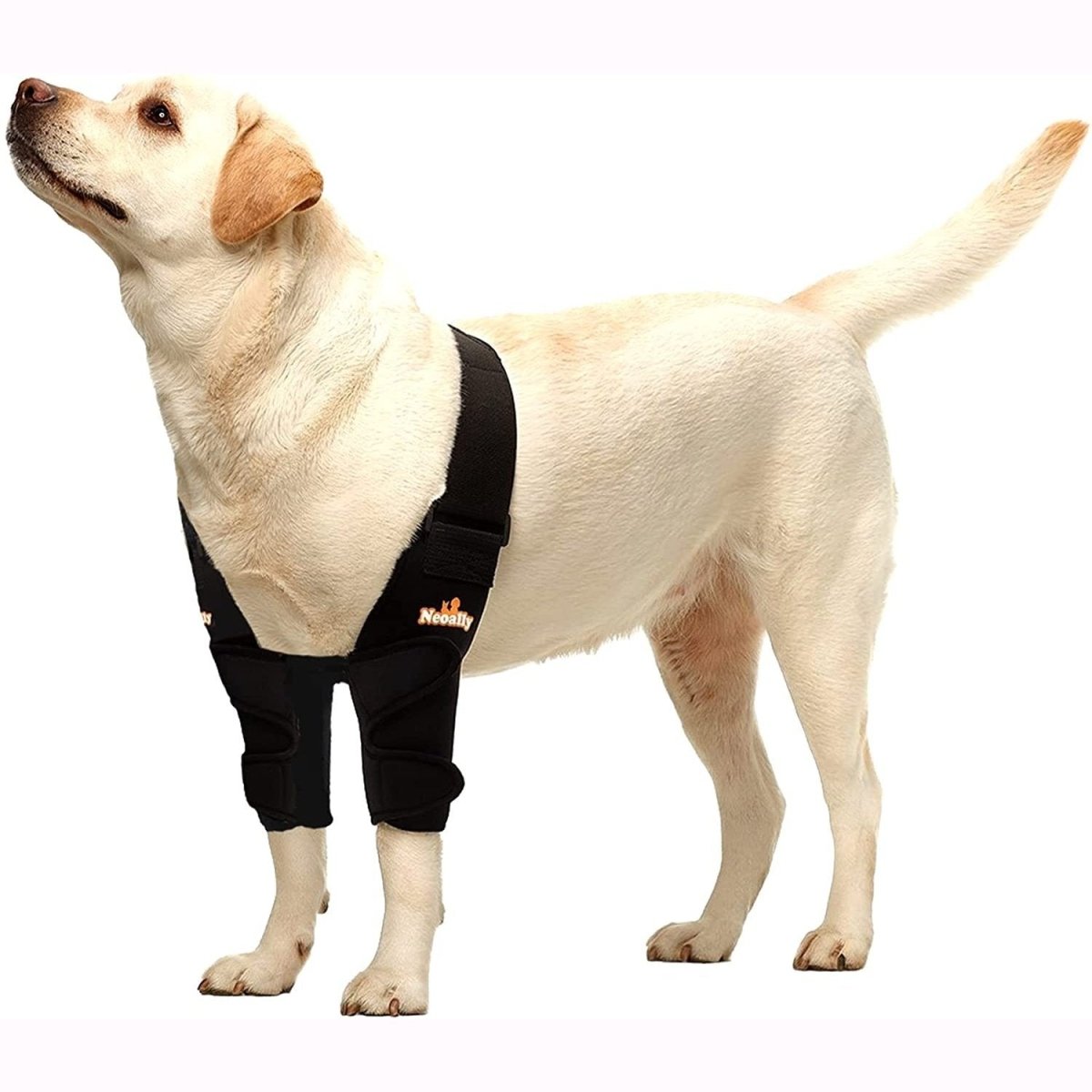 NeoAlly Elbow and Shoulder Brace for Dogs and Cats - Optimal Support for Pet Mobility by Neoallypets